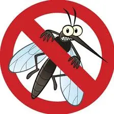شركة الصفرات لمكافحة الذباب بالرياض 0562048682 شركة الصفرات لمكافحة الذباب بالرياض