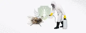 شركة الصفرات لمكافحة الذباب بالرياض