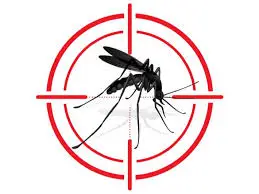 شركة الصفرات لمكافحة البعوض بالرياض0562048682 شركة الصفرات لمكافحة البعوض بالرياض