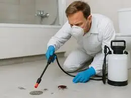 شركة الصفرات لمكافحة الحشرات الزاحفة بالرياض