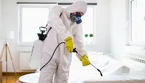 شركة الصفرات لمكافحة الحشرات الزاحفة بالرياض0562048682 شركة الصفرات لمكافحة الحشرات الزاحفة بالرياض