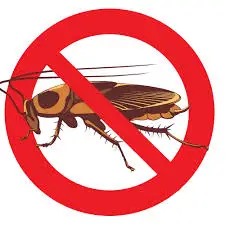 شركة الصفرات لمكافحة الحشرات الزاحفة بالرياض0562048682 شركة الصفرات لمكافحة الحشرات الزاحفة بالرياض