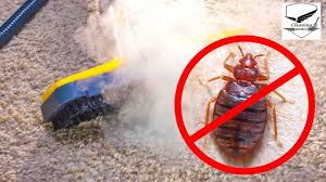 شركة الصفرات لمكافحة بق الفراش بالرياض